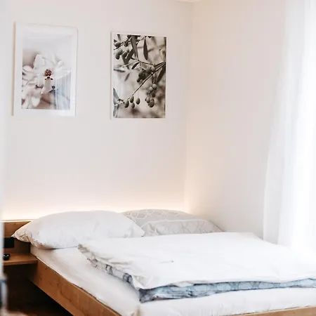 公寓 Bright & Modern In Haselstauden